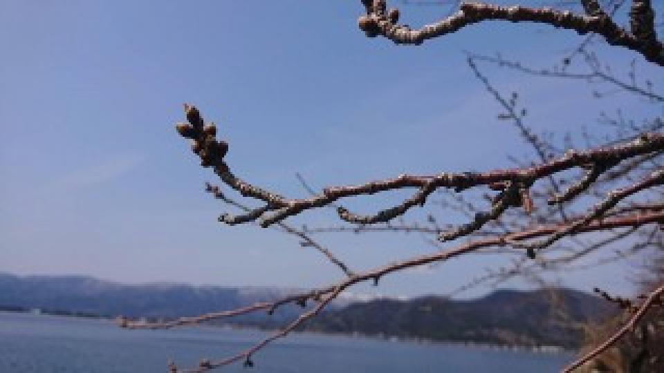 滋賀県、春を待つ