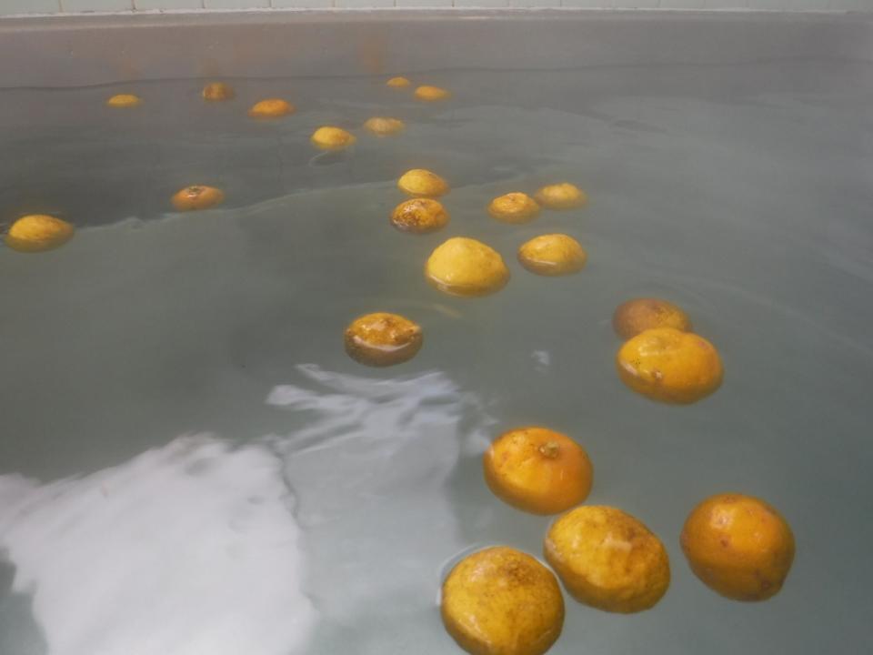 冬至に柚子風呂で心も身体も温まりました！