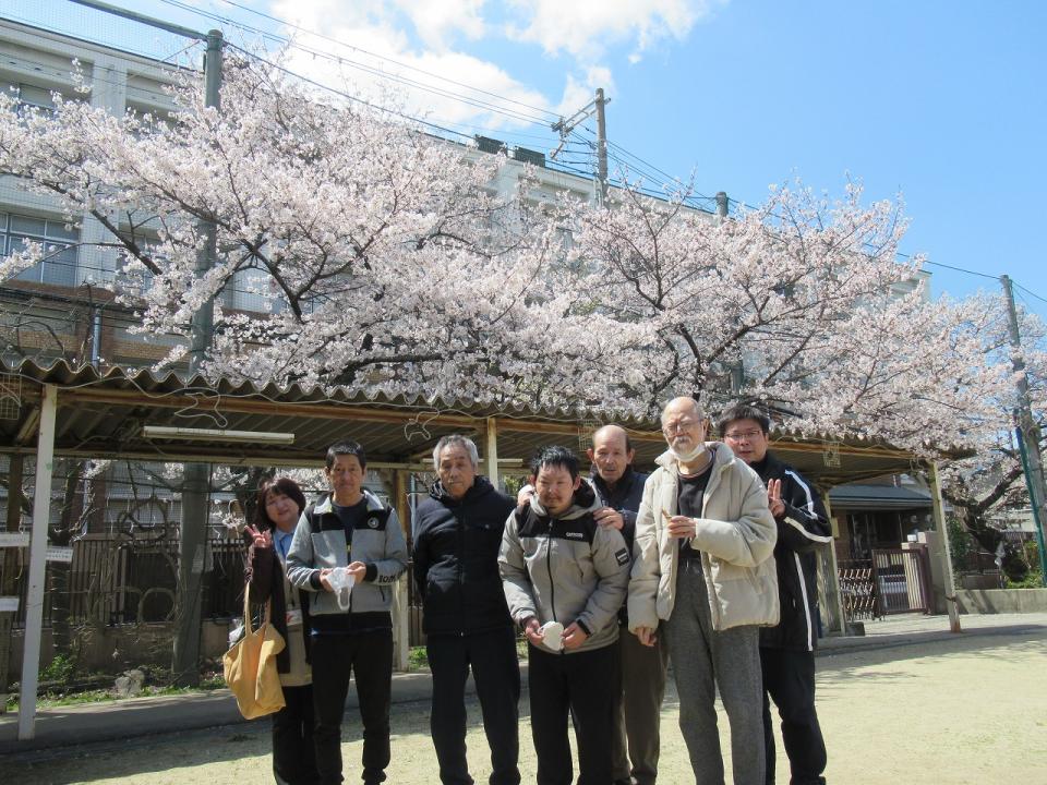 日中活動で桜を見に行きました（JIKYO）