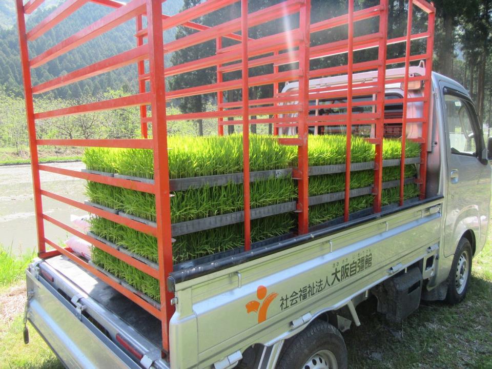 田植え（橡生の里）
