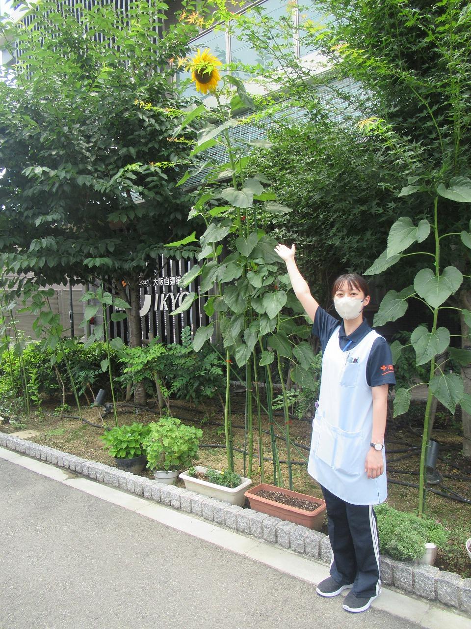 JIKYOに夏が訪れました